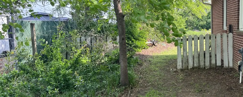 Local lawn mowing service in Augusta, GA - Family Tree Landscaping and Lawncare