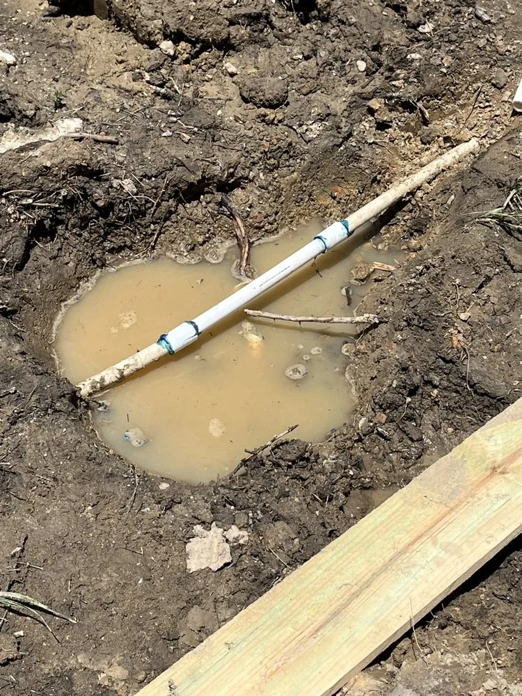 Top-rated lawn care service for beautiful yards in Augusta, GA by Family Tree Landscaping and Lawncare