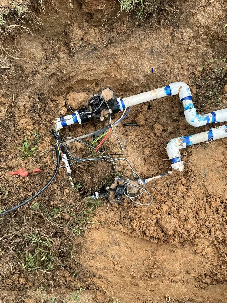 Local yard cleanup service in Augusta, GA - Family Tree Landscaping and Lawncare