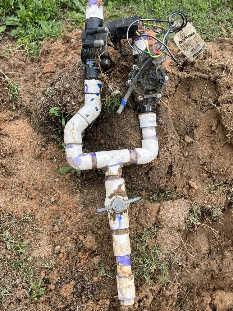 Reliable yard cleanup service experts serving Augusta, GA - Family Tree Landscaping and Lawncare