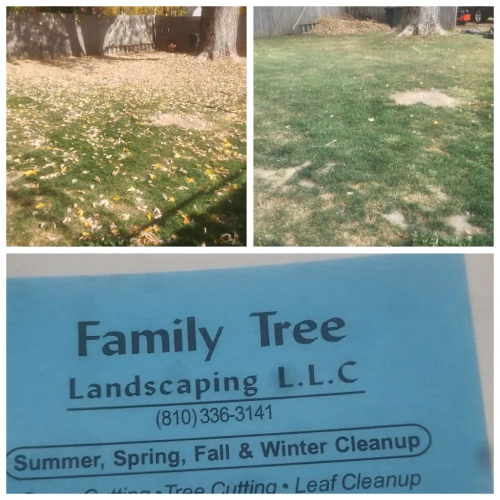 Reliable landscape installation for residential properties in Flint, MI by Family Tree Landscaping
