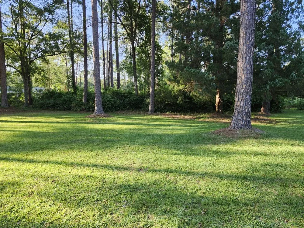 Custom lawn care service for outdoor upgrades in Jesup, GA by Family Tree Landscaping