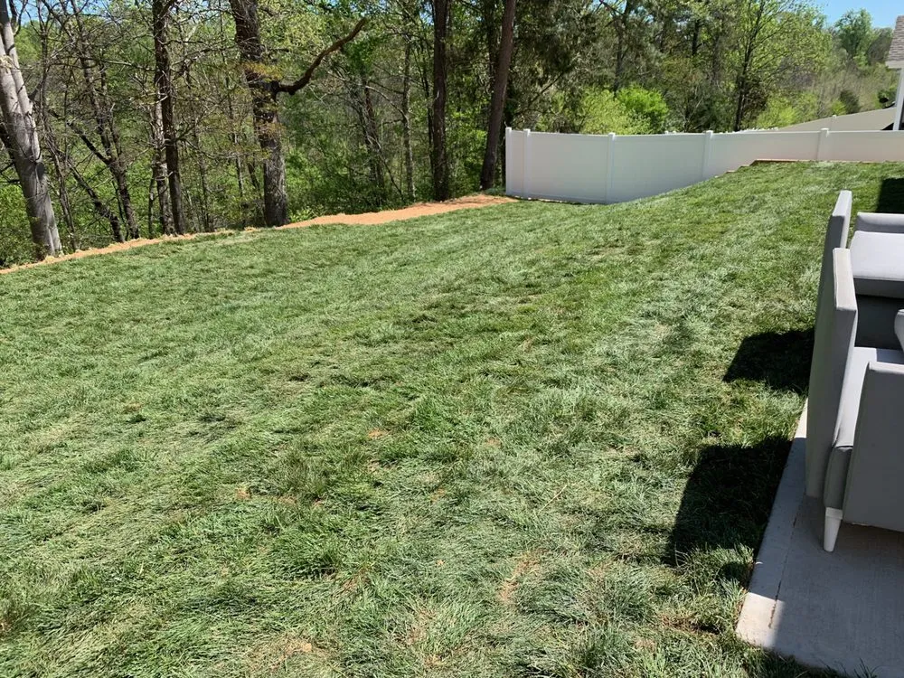 Local landscape design in Pfafftown, NC by Family Tree Landscaping