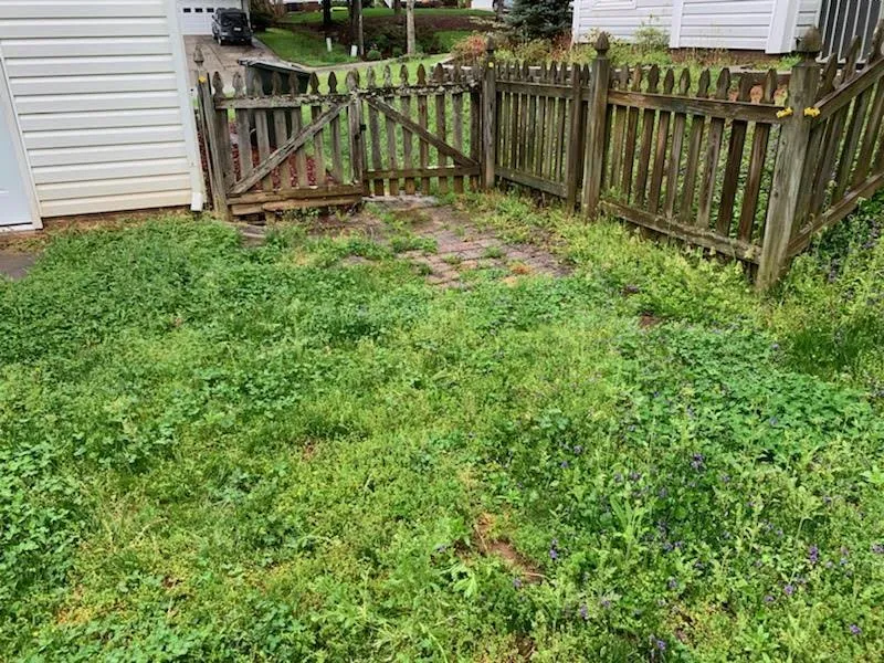 Expert landscape installation near you across Pfafftown, NC - Family Tree Landscaping