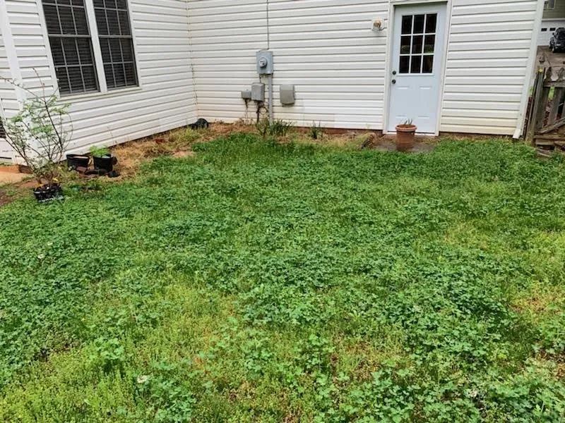 Local garden landscaping in Pfafftown, NC - Family Tree Landscaping