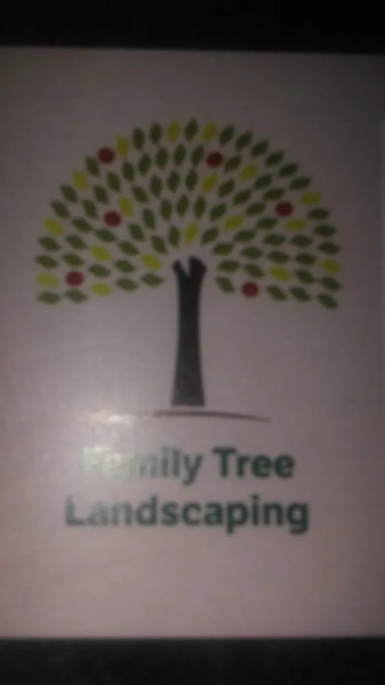 Expert yard cleanup service in Revere, MA - Family Tree Landscaping