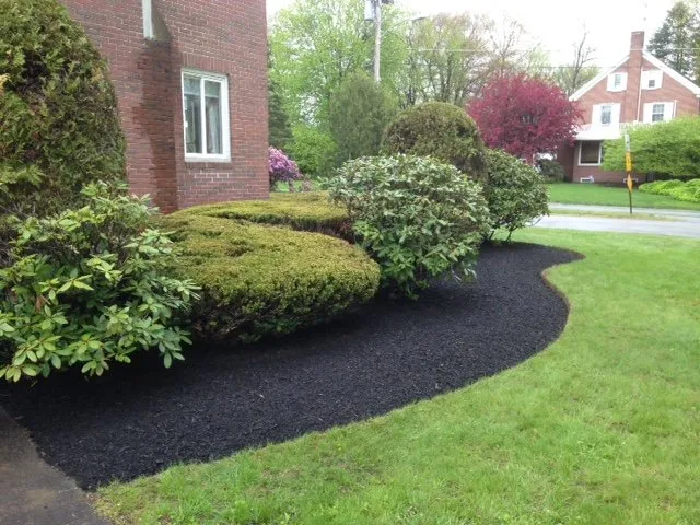 Affordable lawn mowing service in Sidney, ME by Family Tree Lawn & Landscape Management