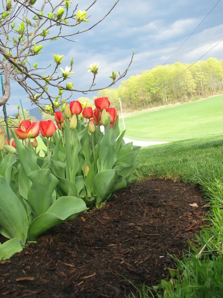 Expert residential landscaping in Sidney, ME by Family Tree Lawn & Landscape Management