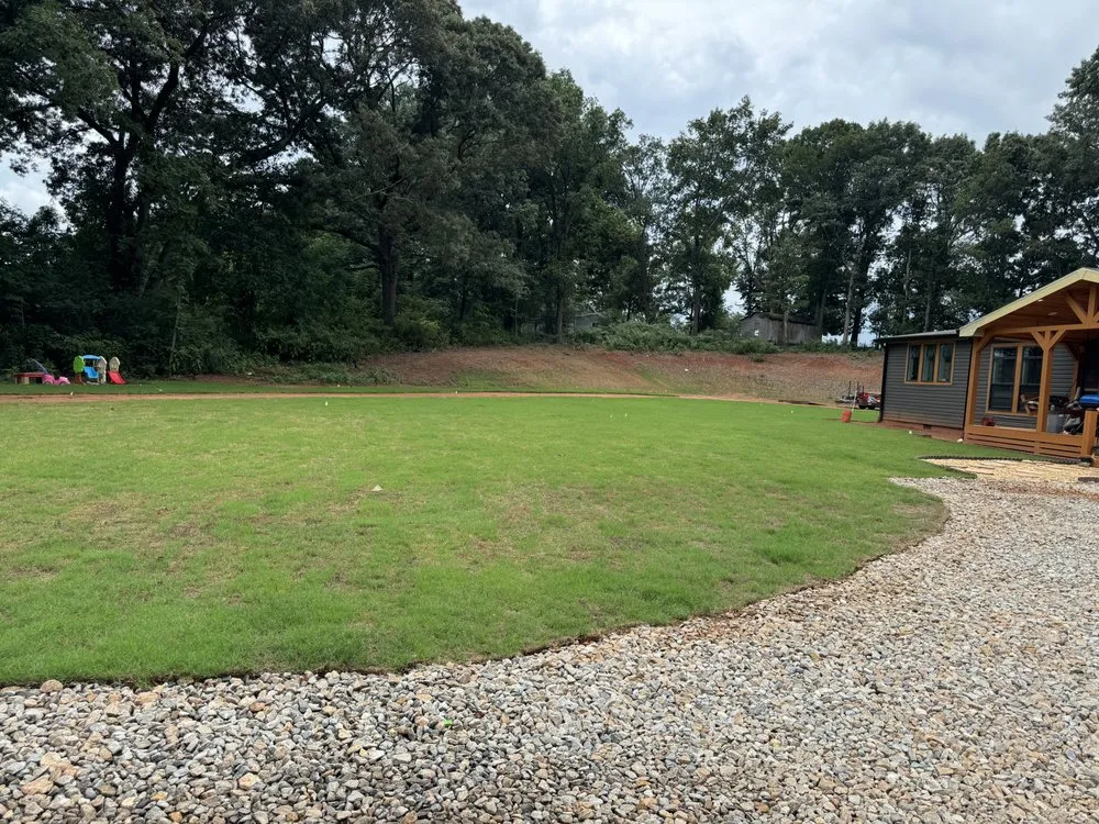 Custom yard cleanup service in Carnesville, GA by Family Tree Lawn Care & More