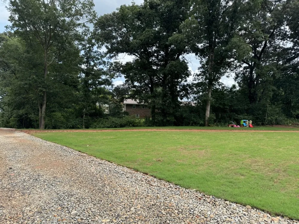 Professional outdoor landscaping experts serving Carnesville, GA - Family Tree Lawn Care & More