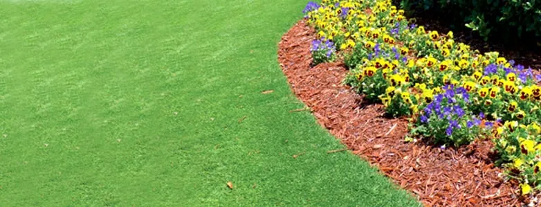 Expert outdoor landscaping experts serving Carnesville, GA - Family Tree Lawn Care & More