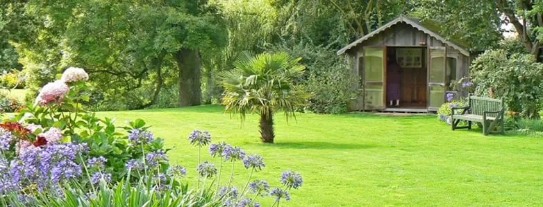 Custom landscaping services near you in Carnesville, GA by Family Tree Lawn Care & More