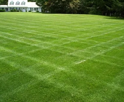 Local residential landscaping for beautiful yards in Carnesville, GA by Family Tree Lawn Care & More