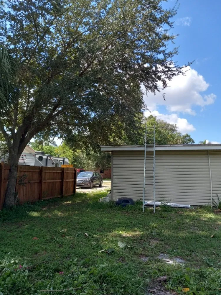 Professional residential landscaping in North Fort Myers, FL by Family Tree