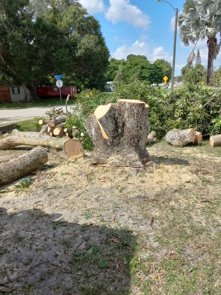 Top-rated lawn care service for residential properties across North Fort Myers, FL - Family Tree