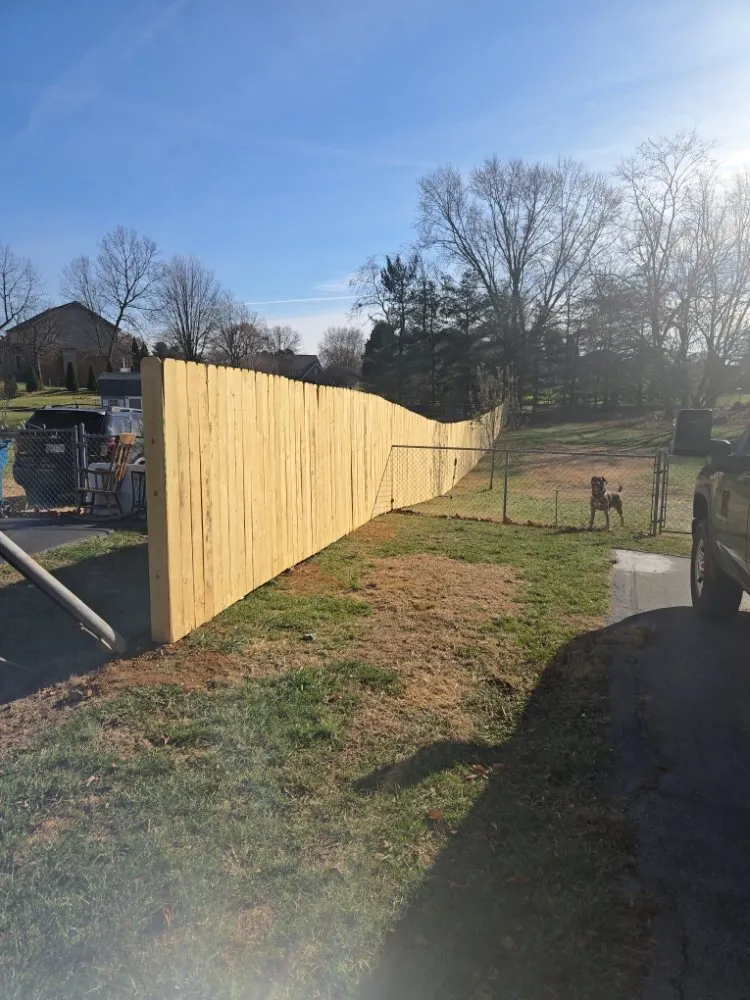 Professional landscape design for beautiful yards across Hagerstown, MD - Family Tree Repair and Landscaping