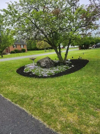 Local residential landscaping experts serving Hagerstown, MD - Family Tree Repair and Landscaping
