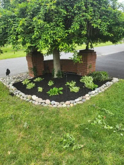 Expert lawn care service for year-round maintenance across Hagerstown, MD - Family Tree Repair and Landscaping