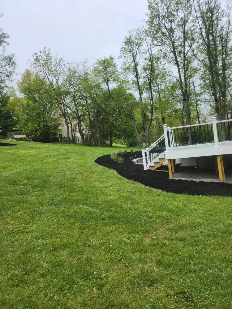 Local yard cleanup service in Hagerstown, MD - Family Tree Repair and Landscaping