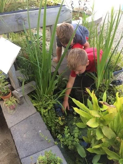 Custom landscape design in Rochester, MN by Family Tree