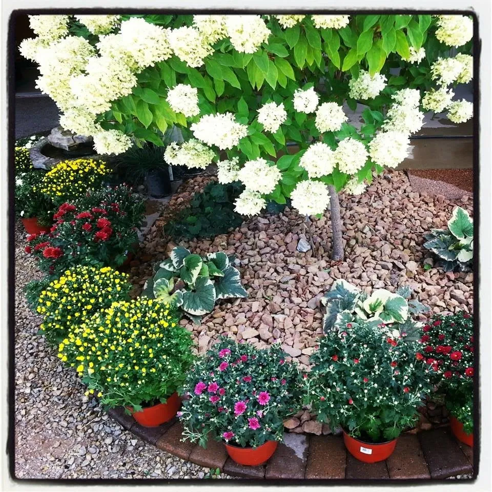 Reliable lawn care service in Rochester, MN by Family Tree