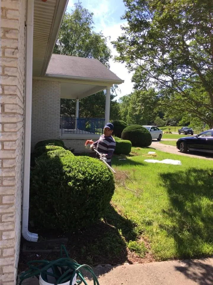 Trusted garden landscaping in Fort Washington, MD by Family Tree Service & Landscaping