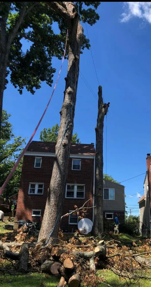 Local residential landscaping for beautiful yards in Fort Washington, MD by Family Tree Service & Landscaping