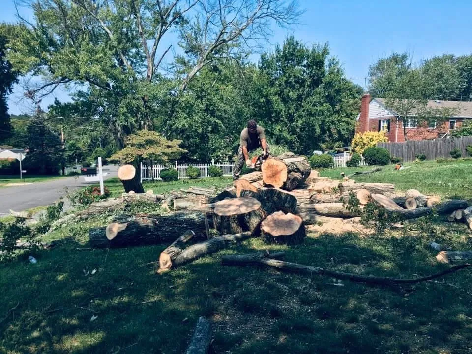 Custom residential landscaping with custom design across Fort Washington, MD - Family Tree Service & Landscaping