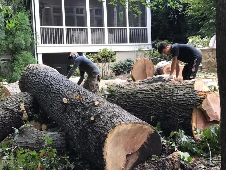 Local outdoor landscaping for residential properties in Fort Washington, MD by Family Tree Service & Landscaping