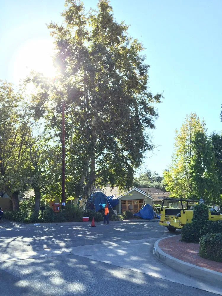 Top-rated landscaping services in Monrovia, CA - Family Tree Service