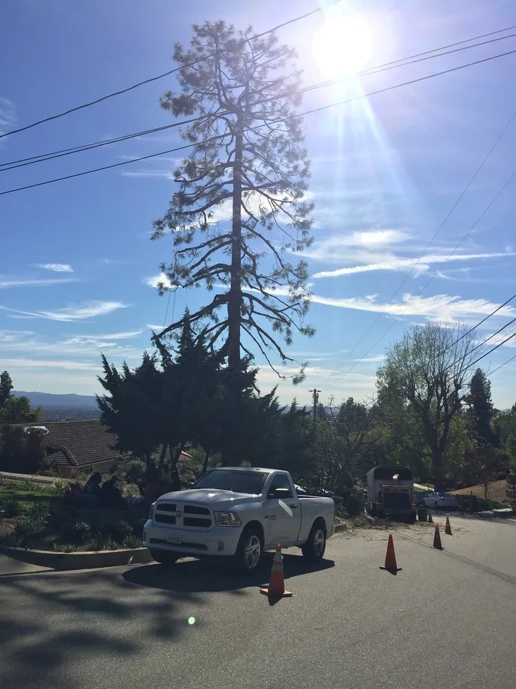 Affordable garden landscaping near you across Monrovia, CA - Family Tree Service