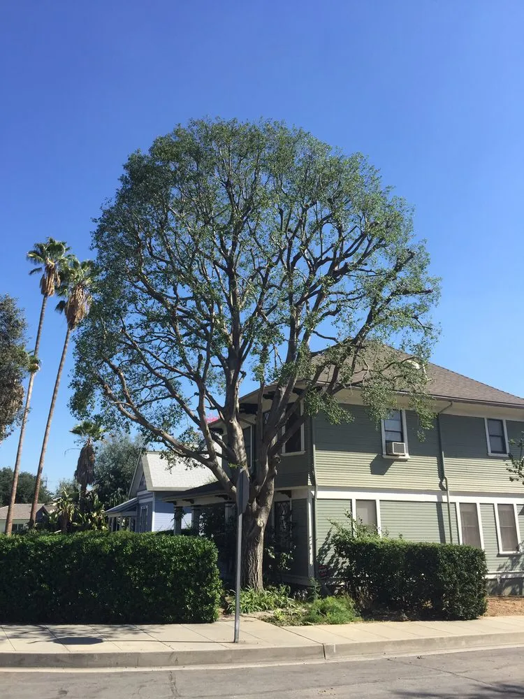 Expert garden landscaping experts serving Monrovia, CA - Family Tree Service