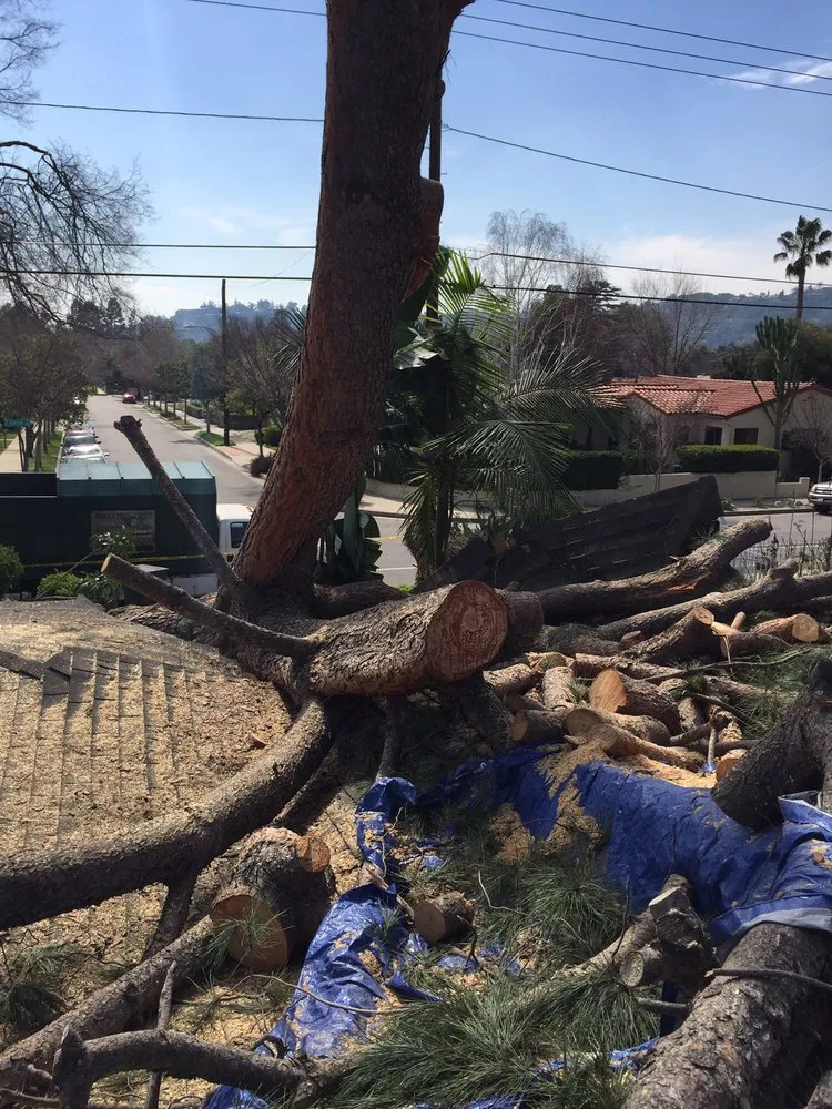 Top-rated landscape design near you in Monrovia, CA by Family Tree Service