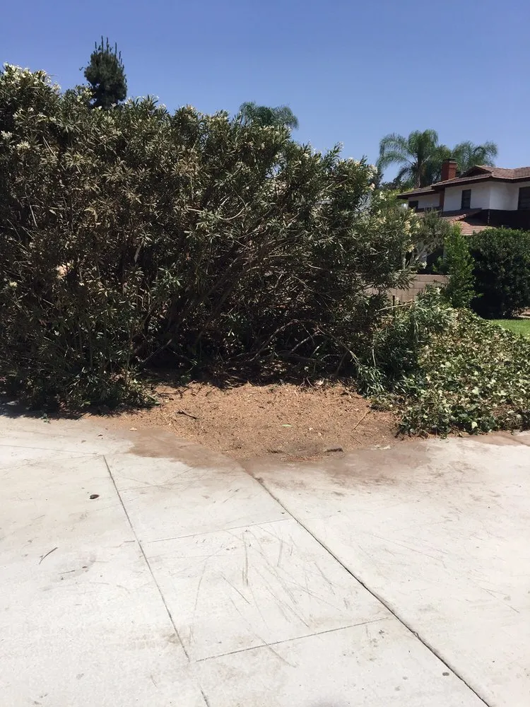 Trusted landscaping services in Monrovia, CA - Family Tree Service