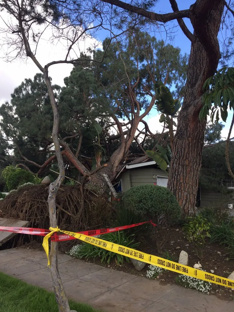 Trusted outdoor landscaping experts serving Monrovia, CA - Family Tree Service