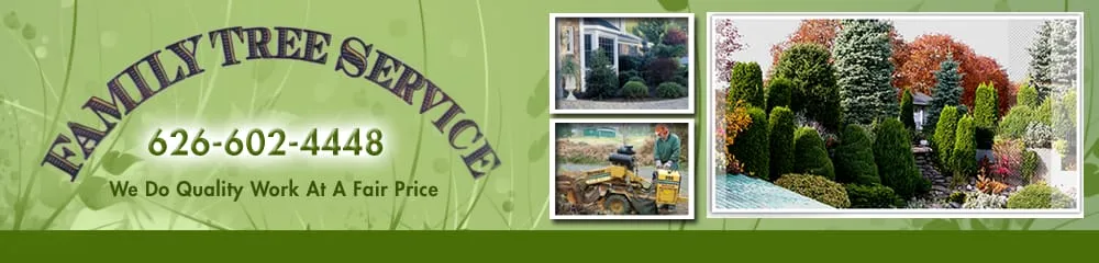 Reliable landscape design for homes across Monrovia, CA - Family Tree Service