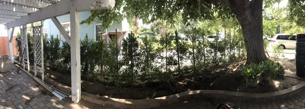 Expert landscape design experts serving Monrovia, CA - Family Tree Service