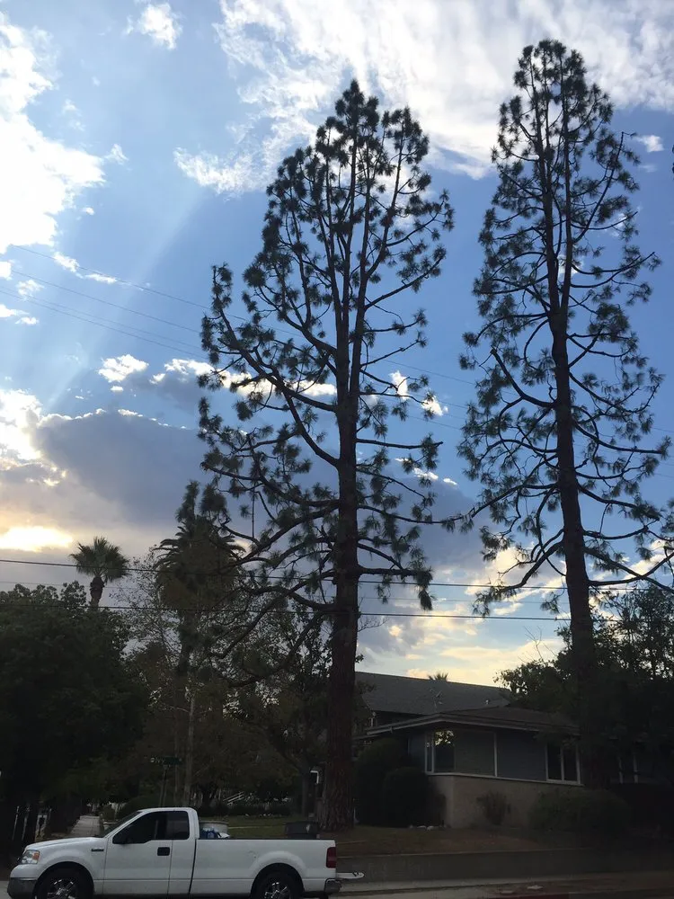 Reliable residential landscaping for year-round maintenance across Monrovia, CA - Family Tree Service