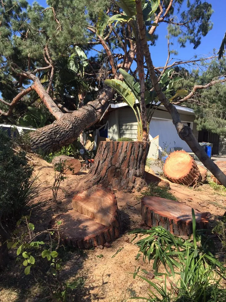 Top-rated outdoor landscaping for residential properties in Monrovia, CA by Family Tree Service