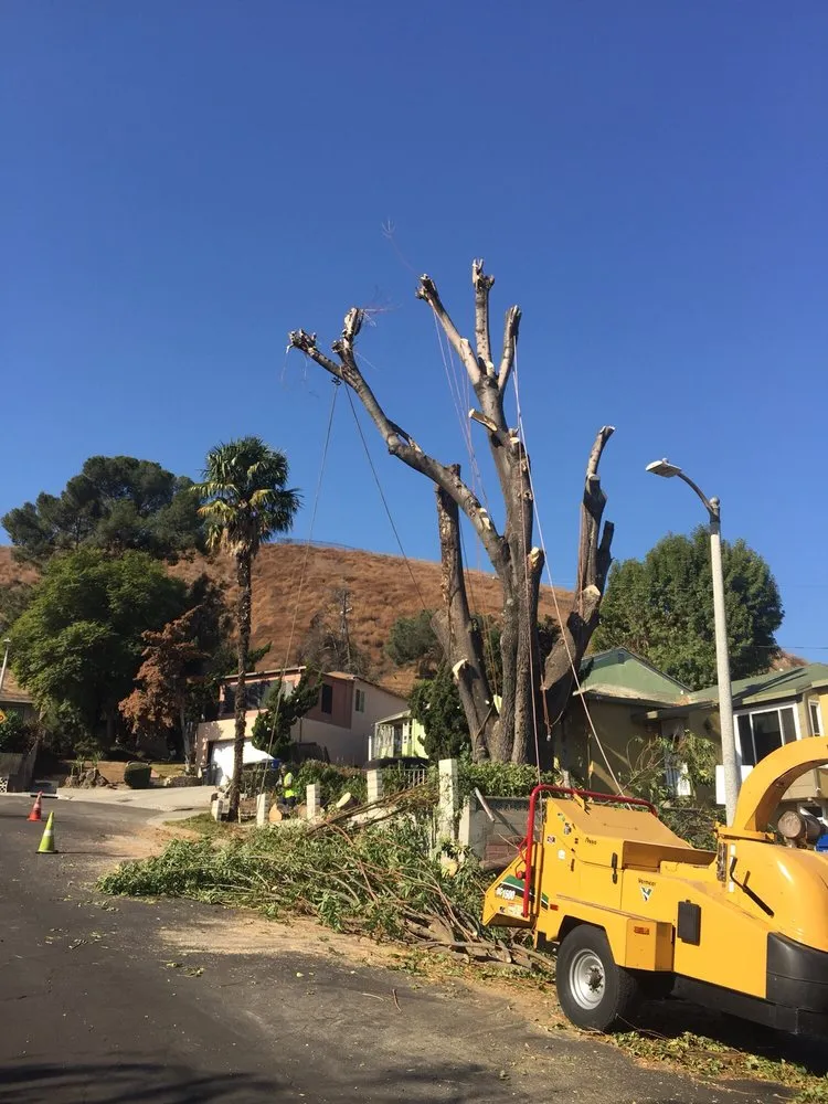 Expert residential landscaping experts serving Monrovia, CA - Family Tree Service