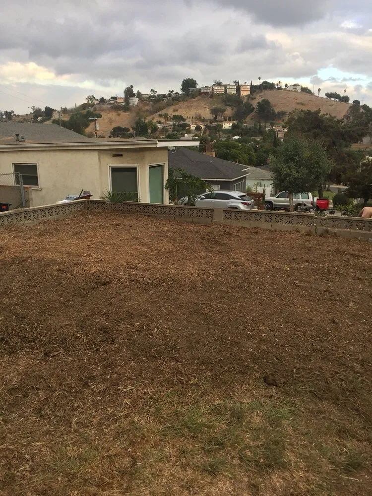 Top-rated landscaping services for beautiful yards in Monrovia, CA by Family Tree Service