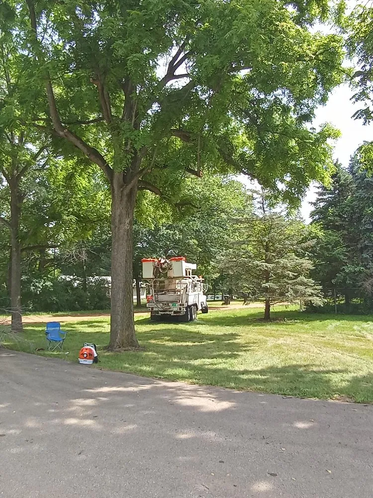 Trusted landscape design in Jackson, MI by Family tree tree service