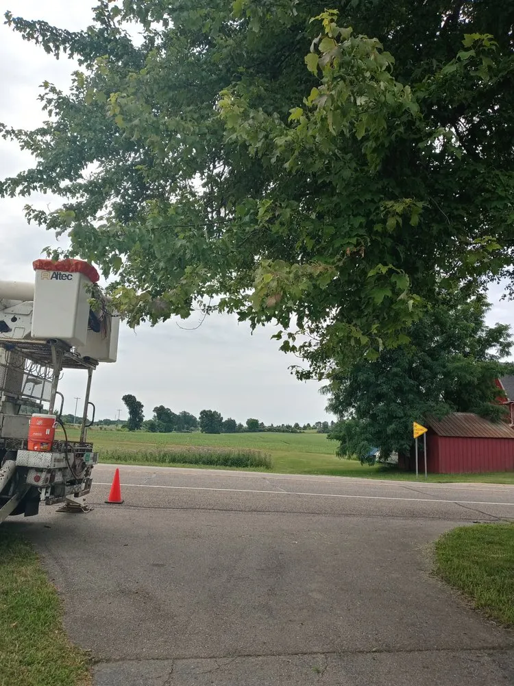 Affordable yard maintenance in Jackson, MI by Family tree tree service