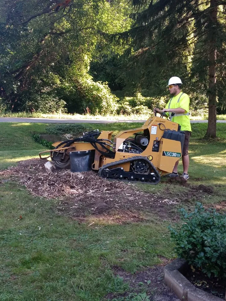Reliable landscaping services experts serving Jackson, MI - Family tree tree service