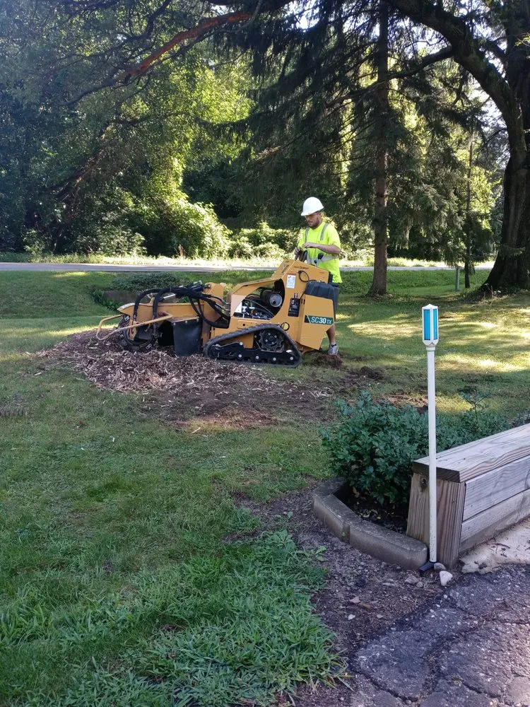 Trusted landscape design experts serving Jackson, MI - Family tree tree service