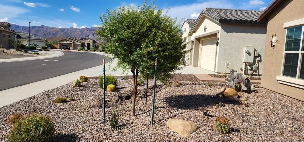 Top-rated yard cleanup service with custom design across Apache Junction, AZ - Family Tree Trimming
