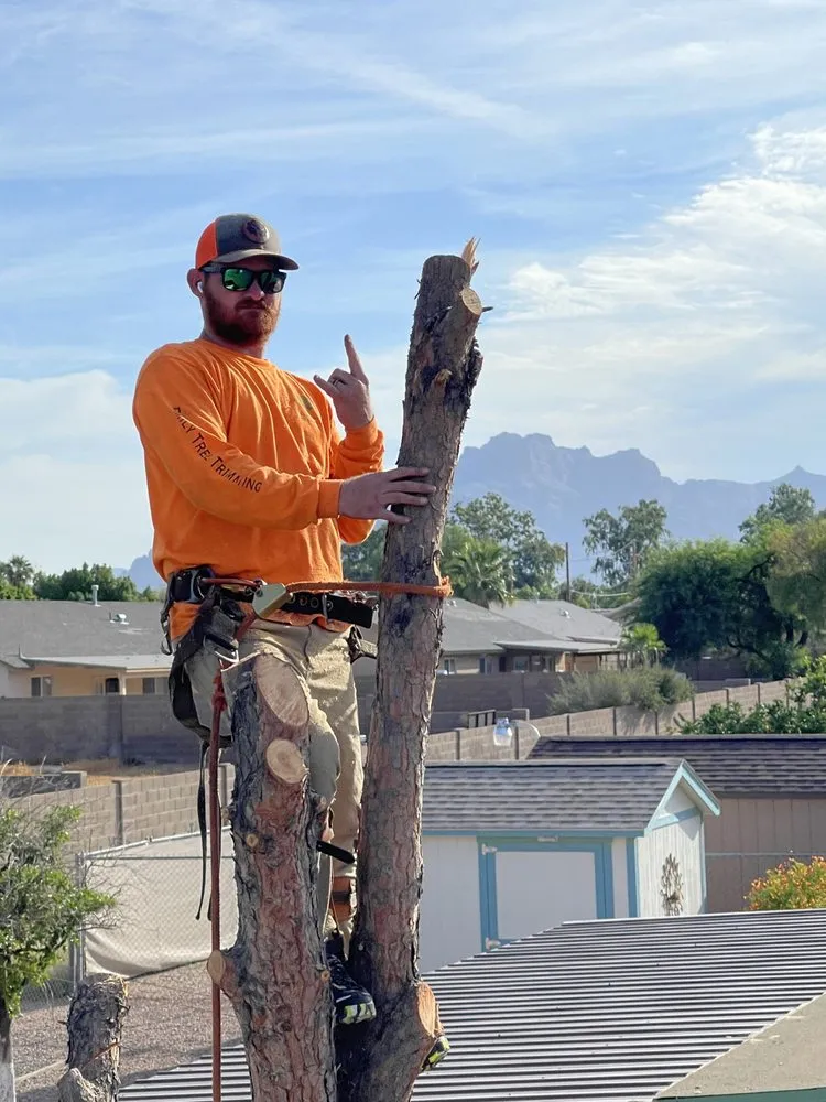 Top-rated garden landscaping experts serving Apache Junction, AZ - Family Tree Trimming
