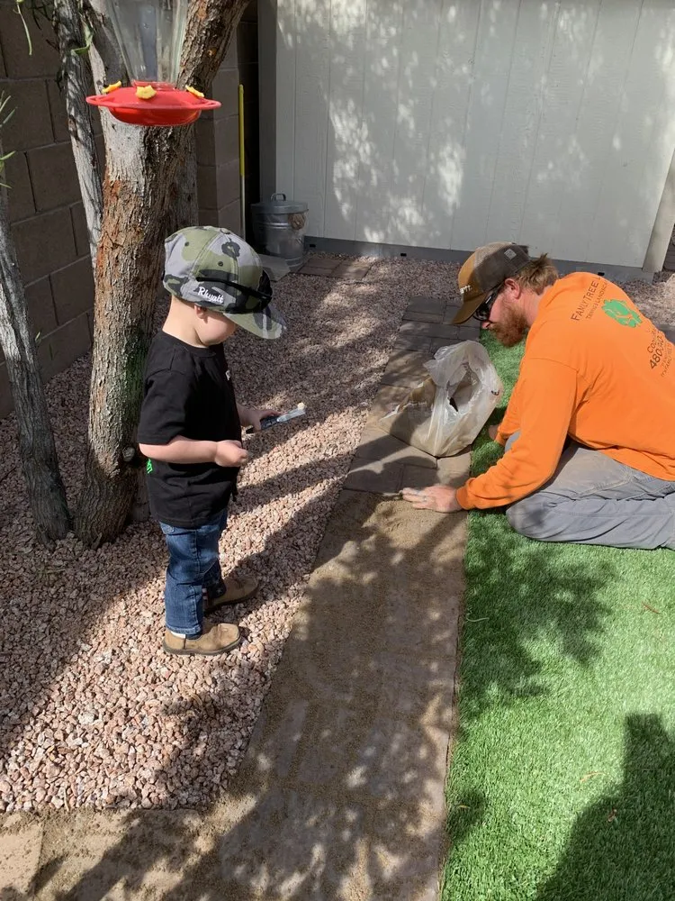 Expert yard cleanup service for homes in Apache Junction, AZ by Family Tree Trimming