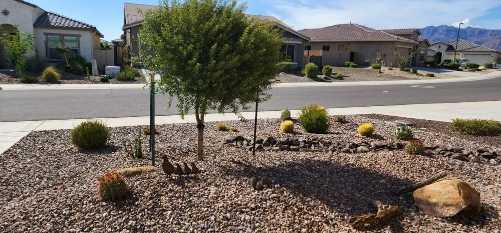 Professional lawn care service in Apache Junction, AZ - Family Tree Trimming