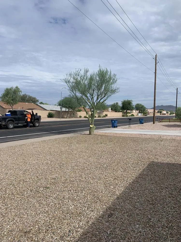 Reliable landscaping services for residential properties in Apache Junction, AZ by Family Tree Trimming